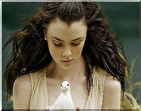 girl with white dove