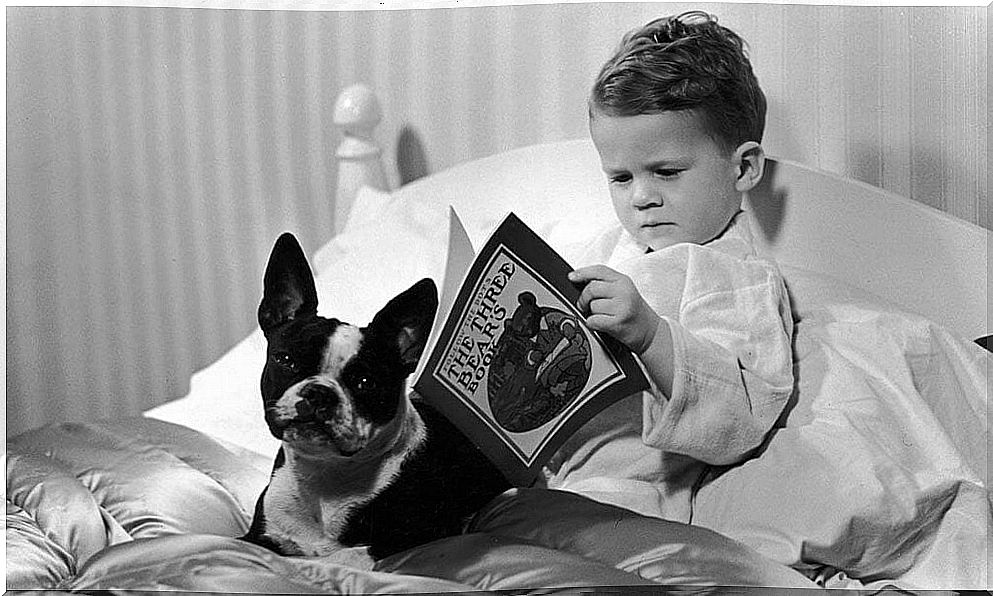 boy reading in bed