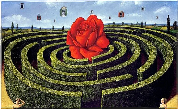 Maze with red rose in the middle