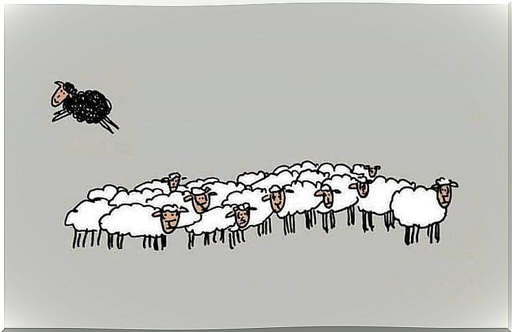 Black sheep