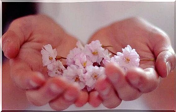 Hands holding flowers representing abundance