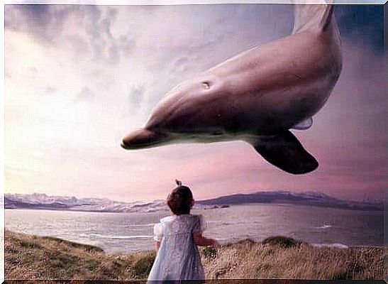 child-seeing-dolphin-flying