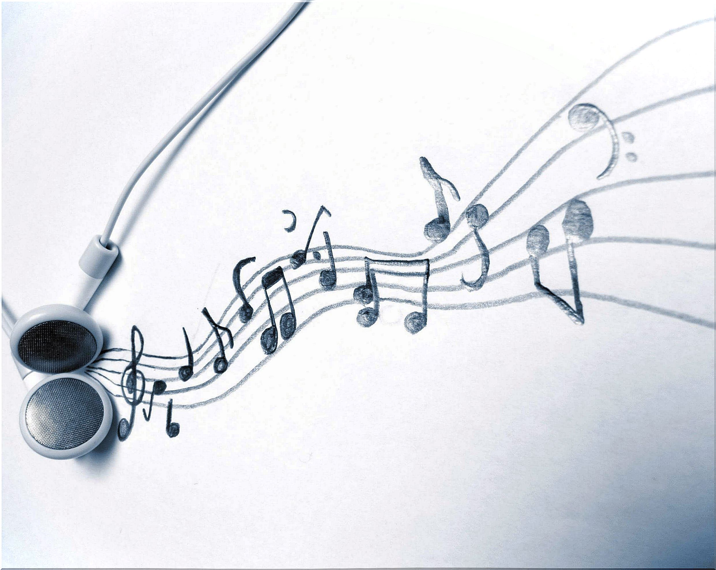 Why do we like different types of music?